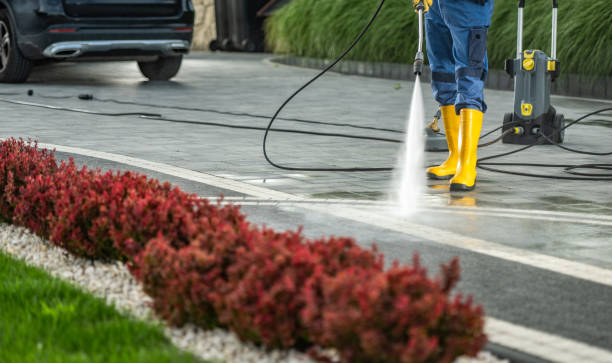 Best Driveway Cleaning and Restoration in Spring Grove, IL